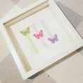 Butteryfly Green Pink Purple box Frame